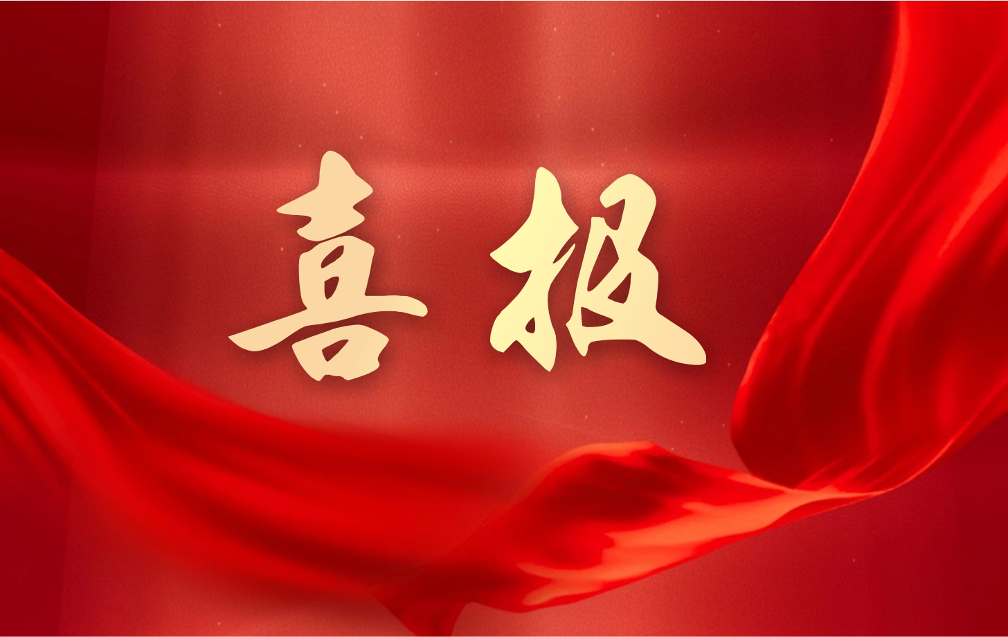 營(yíng)收凈利雙增長(zhǎng)！依頓電子2025年一季度經(jīng)營(yíng)業(yè)績(jī)續(xù)寫高質(zhì)量發(fā)展華章